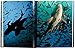 Michael Muller. Sharks