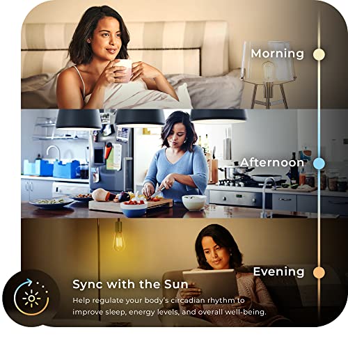 Globe Electric 34919 Wi-Fi Smart 5.5W (60W Equivalent) Straight Filament Tunable White Amber Glass Led Light Bulb, No Hub Required, Voice Activated, 2000K - 5000K, Vintage Edison Style, E26 Base #TOP5