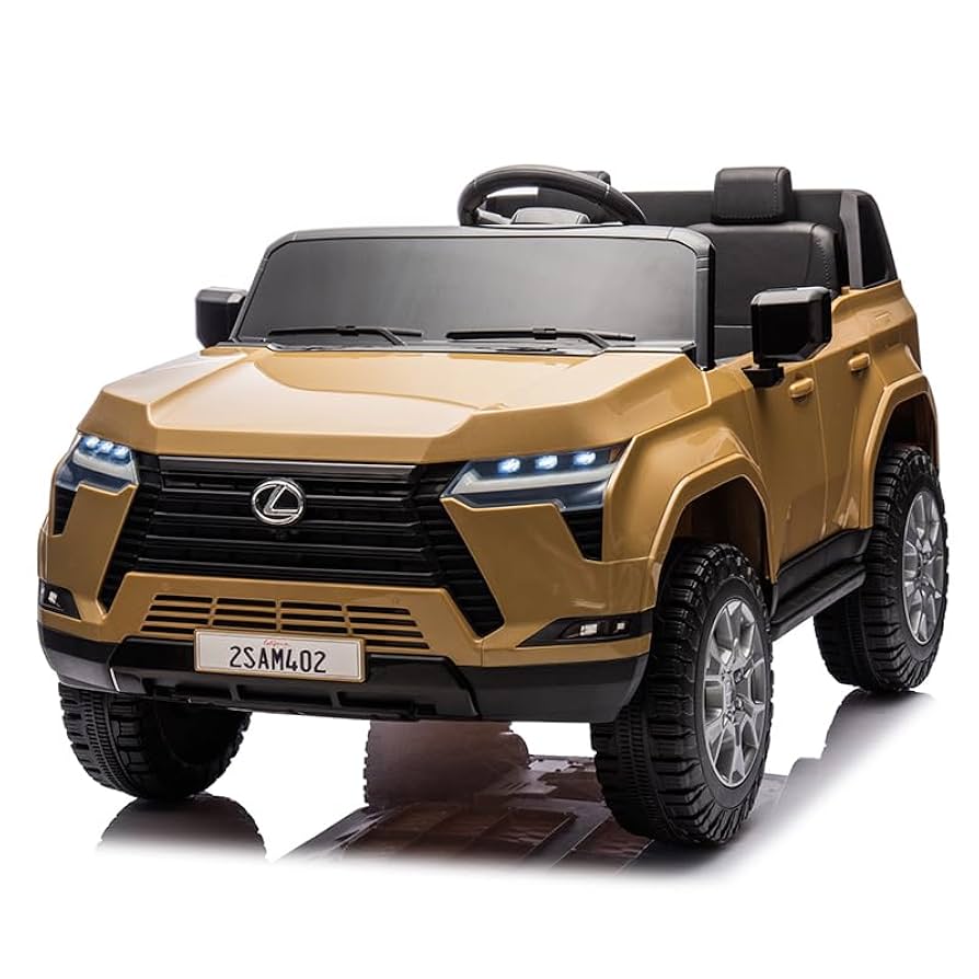 Amazon.co.jp: THREE STONE 【2人乗り可】 電動乗用ラジコン