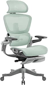 HINOMI H1 Pro V2 人間工学フィスチェア 3Dランバーサポート 格納式