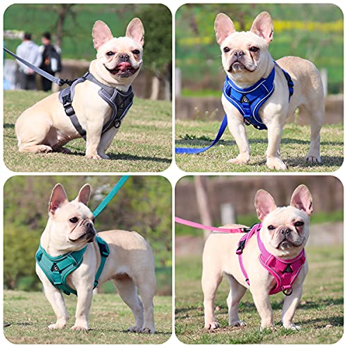 Dog Harness and Leash Set - Mesh Dog Vest Harness Breathable - Reflective Puppy Harness No Pull No Choke for Small… - Image 8