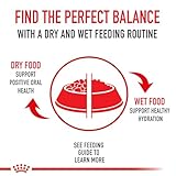 ROYAL CANIN Breed Health Nutrition Golden Retriever Adult Dry Dog Food, 17-Pound by Royal Canin