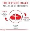 Royal Canin Feline Health Nutrition Indoor Adult Dry Cat Food, 3 lb Bag