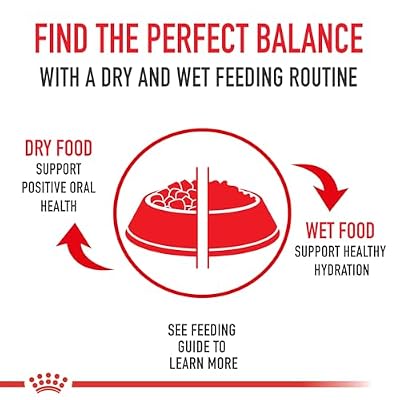Royal Canin Feline Health Nutrition Indoor Adult Dry Cat Food, 3 lb Bag