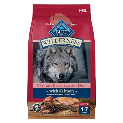 Blue Buffalo Wilderness Natural High-Protein Dry Food for Adult Dogs, with Wholesome Grains, Salmon, 24-lb. Bag