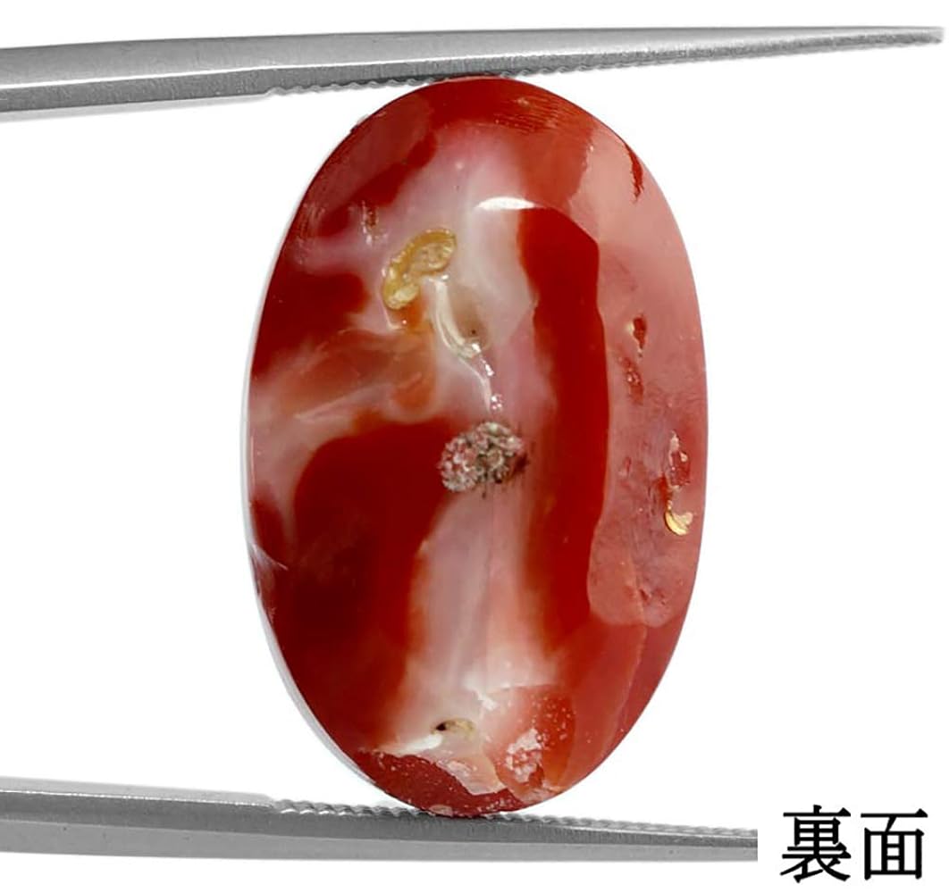 日本産 特大 天然赤珊瑚ルース 希少 血赤珊瑚 ルース 5.95ct 真っ赤なサンゴ 日本近海 中宝