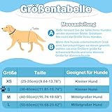 3 Stück Wiederverwendbare Hundewindeln,Hochabsorbierend Höschen für weibliche Haustiere,Hygienische Waschbare Windel Hund,Windeln für Hündinnen bei Läufigkeit und Inkontinenz (s, Muster 2)