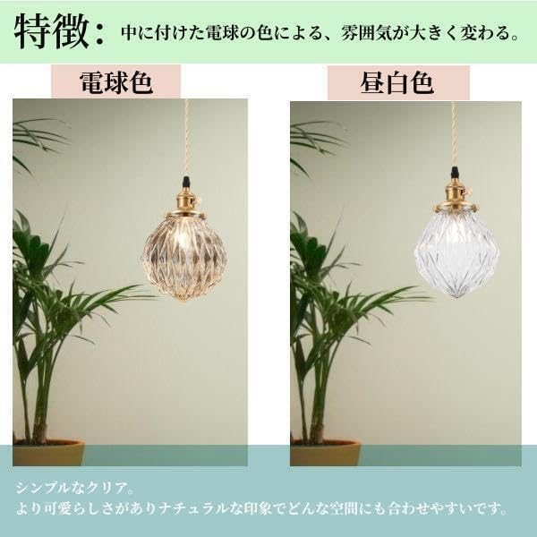 Amazon.co.jp : UC ペンダントライト 1灯 LED対応 ダイニング用 食卓用