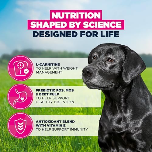Eukanuba Fresh Chicken - Complete Dry Dog Food - For Senior Large & Giant Breed Dogs 15KG - Image 6