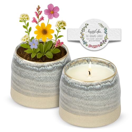 Hyggelight Wild Flower Scented Soy Candle 10oz Ceramic Pot