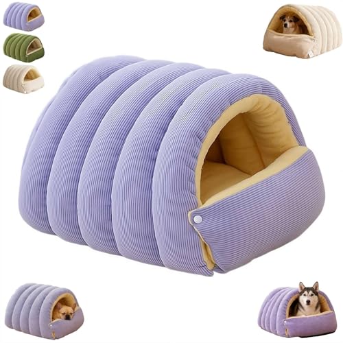 _炩gLpAxbhAO\Ő􂦂NbVt̎pybgpQ܁A~ߒALƏ^̂߂̋Sn̗ǂ(Viola,M)