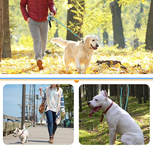 Guoyihua Multi-Function Hands Free Dog Rope Leash, 7.5Ft Strong Nylon Training Leash, Reflective Shoulder Running Leads For Puppy Small Medium Service Dogs With Portable Garbage Box (Blue) #TOP6