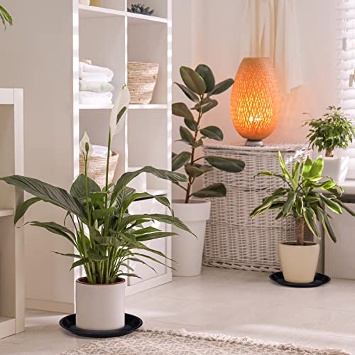 Sawysine 30 Pack Plastic Plant Saucer Round Drip Trays Black Flower Pot Saucers Thick Plant Dish Sturdy Water Tray Heavy Drainage Potted Container for Indoor Outdoor Garden (12 Inches) - Thumbnail 5