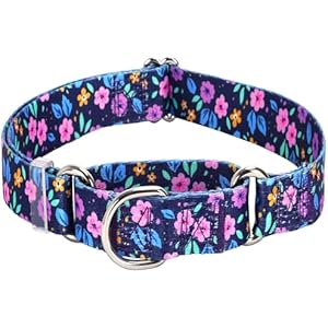 Martingale Dog Collars for Medium Large Dogs, No Slip Girl Dog Collars with Adjustable Soft Nylon and Special Bull Flower Design, for Small Dogs Also (M) 9 M (Neck 16"-21")