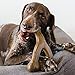 Benebone Wishbone Durable Dog Chew Toy for Aggressive Chewers, Made in USA, Giant, Real Bacon Flavor