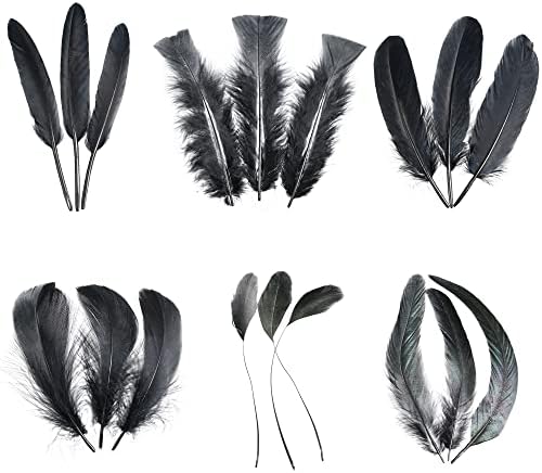 Larryhot Black Craft Feathers Bulk - 240pcs 6 Style Mixed Natural Feathers for Wedding Home Party, Dream Catcher Supplies and DIY Crafts (Black)