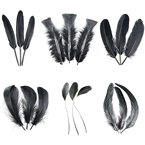Larryhot Black Craft Feathers Bulk - 240Pcs 6 Style Mixed Natural Feathers For Wedding Home Party, Dream Catcher Supplies And Diy Crafts (Black) #TOP4