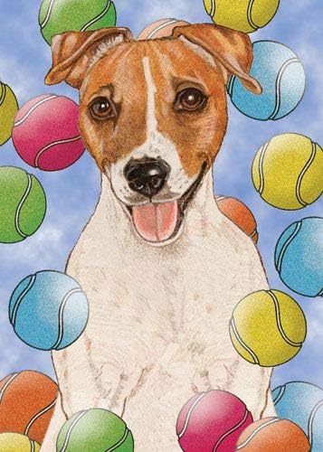 Jack Russell Terrier Blank Note Cards Boxed