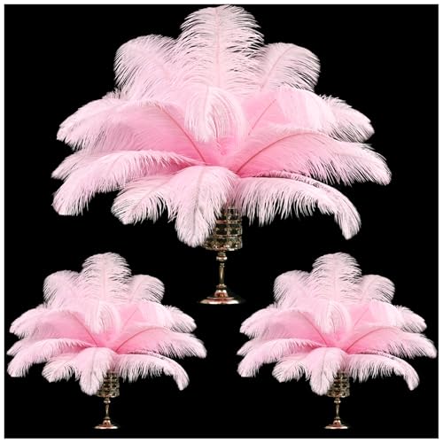 La mejor selección de Centro de Lavado Precio - solo los mejores. 44 THARAHT - 90 plumas de avestruz naturales grandes a granel, 35-40 cm, 12-14 pulgadas, 10-12 pulgadas, 25-30 cm, plumas de avestruz para centros de mesa, boda, rosa