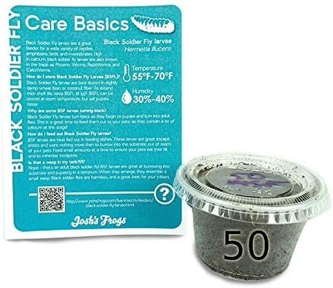 Josh's Frogs Black Soldier Fly Larvae (50 Count - Medium)