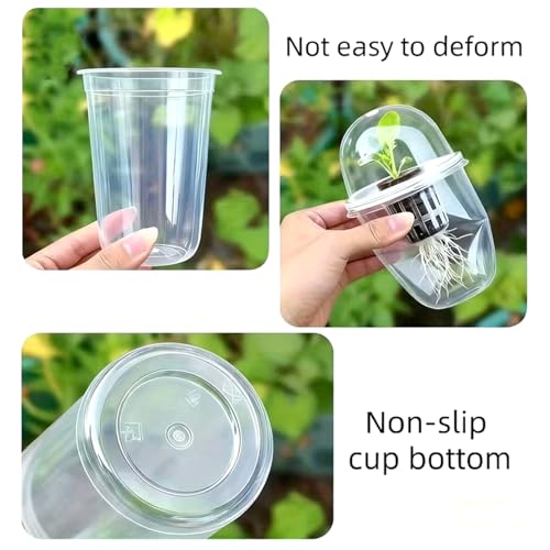 Pots hydroponiques 12 pièces transparents à arrosage automatique pour graine et plante