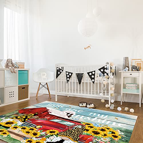 2' X3' Retro Truck Sunflower Polka Dot Gnomes Farm Home Sunshine Butterflies Area Rug,Outdoor Indoor Washable Carpet Area+Rug For Living Room,Kids/Boys/Girls Bedroom,Bathroom,Classroom,Kitchen,Hallway #TOP4