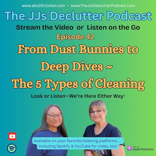 Page de couverture de Ep 42 ~ From Dust Bunnies to Deep Dives ~ 5 Types of Cleaning