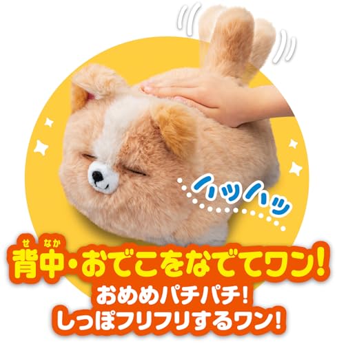 アガツマ ワンだきみは！？ 動くぬいぐるみ アプリコットサムネイル4