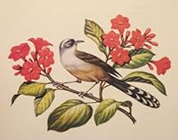 Birds and Flowers of Jamaica B0007AN6Q8 Book Cover