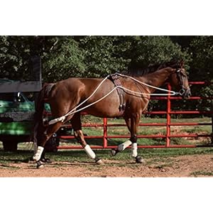 Leaders Training or Lungeing Aid for Horse