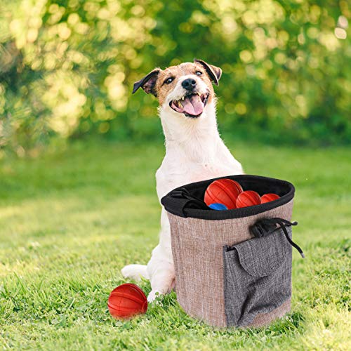 1 Unidade Bolsa De Treinamento Para Animais De Estimação Portátil Para Lanches Ao Ar Livre Recipient