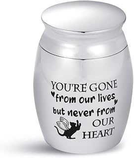 Luluadorn Angel Cat Mini Cremation Urn for Ashes Cat Kitten Pets Cremation Keepsake Memorial Gift Stainless Steel Home Decorate