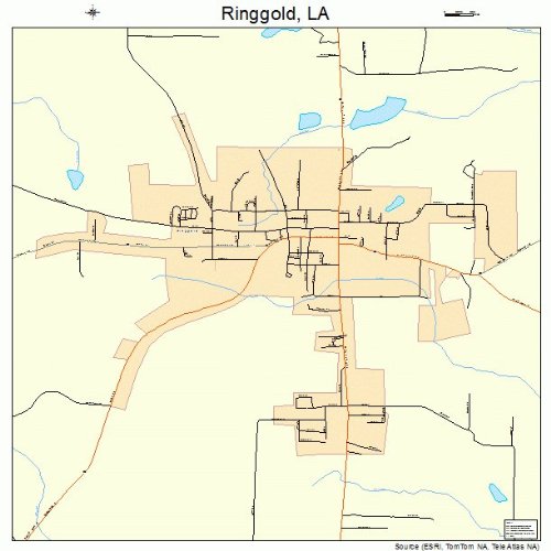 Large Street & Road Map of Ringgold, Louisiana LA Printed poster size