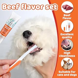 Dentifricio per Cani Tartaro, Dentifricio e Spazzolino per Cani, Spazzolino Denti Cane, Aroma di Manzo, Protegge la Salute Orale del Tuo Animale domestico, Per Cani o Gatti, 3 Pezzi