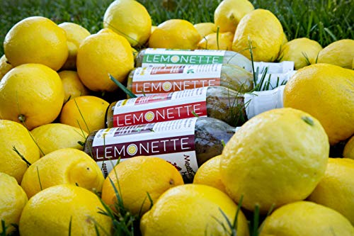 LEMONETTE Sugar Free, Low Cal, Low Fat Salad Dressing: Lemon Garlic 3 Gourmet 12oz bottles - Keto, Gluten Free, Vinegar Free, Soy Free, Dairy Free, Canola Free, Vegan Certified