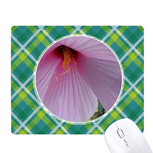 sN̉Ԃ̕iʐ^ ΂̊iq̃sNZS̃}EXpbh