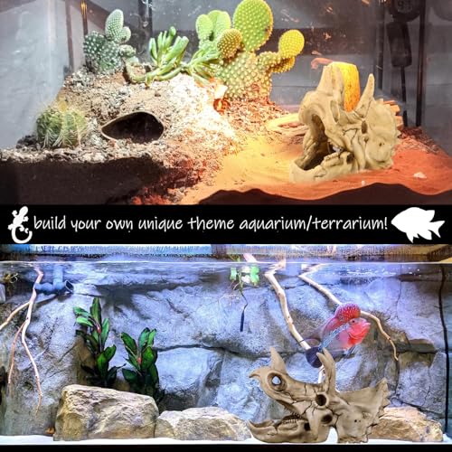 Image of Fish Hideout Cave Dinosaur Animal Skull Reptile Ornament Halloween Decor for Terrarium Aquarium Large Decorations Betta Tarantula Snake Decor Bones
