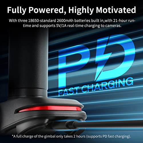HUIOP WEEBILL 3 Handheld Camera Gimbal Stabilizer 3 Lightweight Built-in Light Fill Microphone PD Battery Fast Max. z 3kg/6.6LB Replacement for Cameras - Image 7