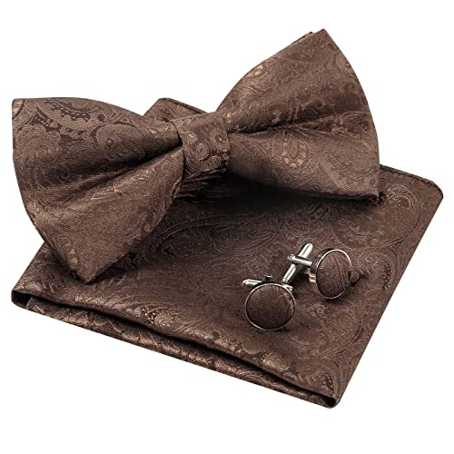 Alizeal Ensemble nœud papillon pré-noué, carré de poche et boutons de manchette pour homme Motif cachemire rétro, marron, taille unique