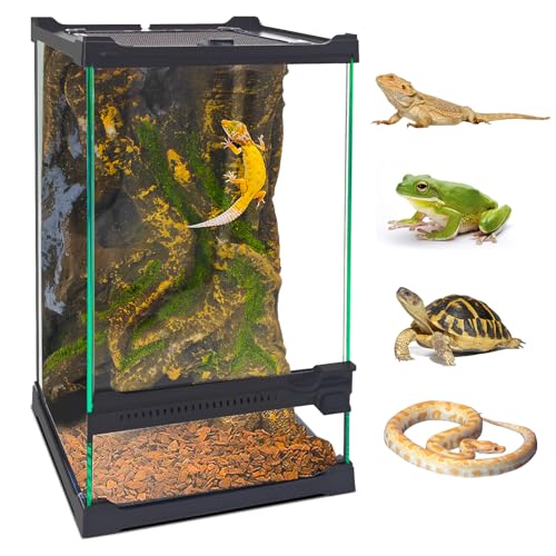 Reptile Terrarium,Glass Natural Terrarium Kit,with Banyan Tree Hollow Landscaping,360° Viewing,Superior