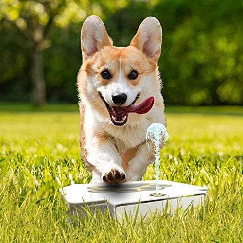 BringerPet Dog Drinking Water Fountain Step On – Outdoor Auto Pet Water Dispenser System for Fresh Water – Suitable as Large or Small…