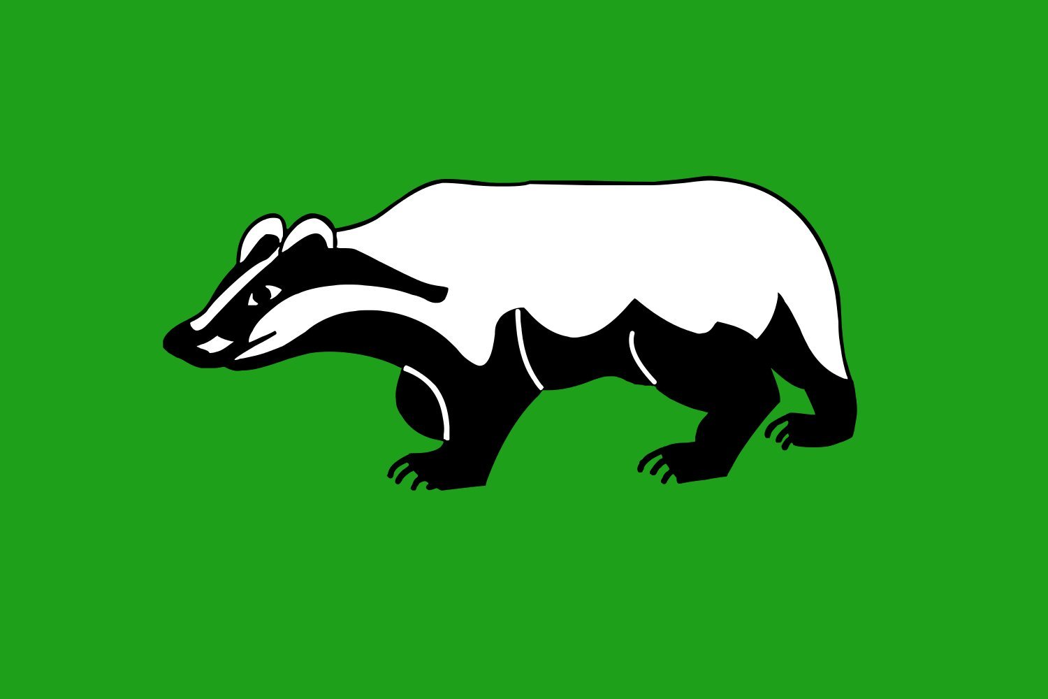 Drapeau Shenkursky rayon officiel de la région d'Arkhangelsk en grand format