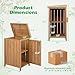 Goplus Wood Package Delivery Box for Outside, Patio Parcel Drop Box with Openable Lid, Removable Shelf, Side Door, Gas Rod, Utility 2-tier Outdoor Storage Cabinet Tool Shed for Front Porch Yard Garden