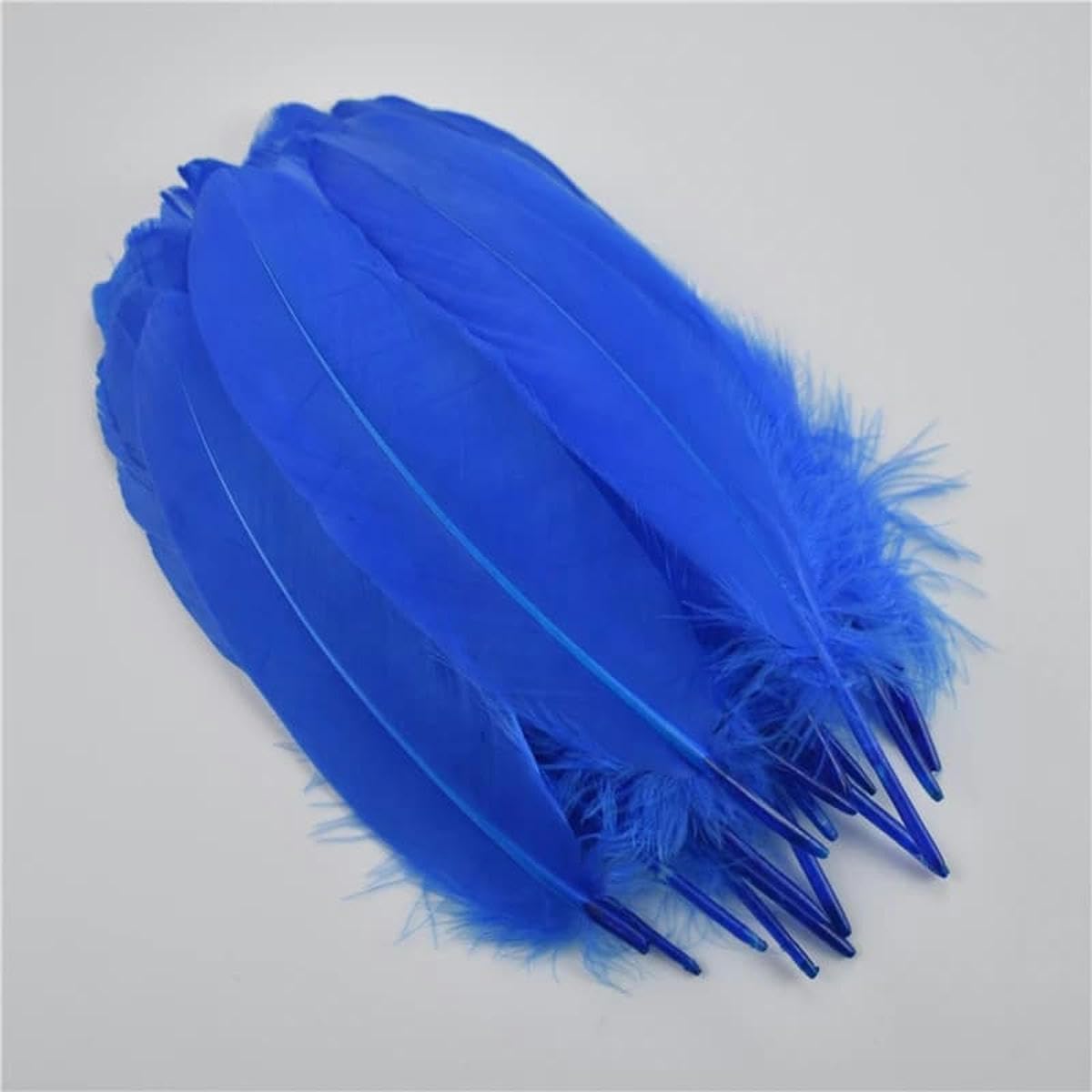 Plumes d'oie rigides 15-20cm de qualité supérieure pour loisirs créatifs DIY
