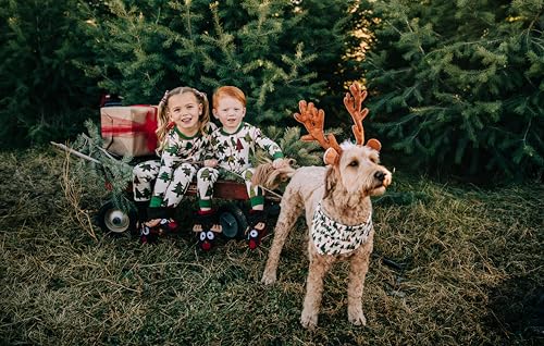 image for Lazy One Flapjacks, Matching Christmas Pajamas for The Dog, Baby & Kid
