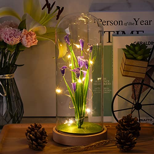 Viodaim Artificial Preserved Calla Lily Flower In Glass Dome Night Light Table Desk Bedroom Home Office Décor For Mom From Daughter Gifts For Women Kids Birthday Anniversary Valentines Day #TOP5