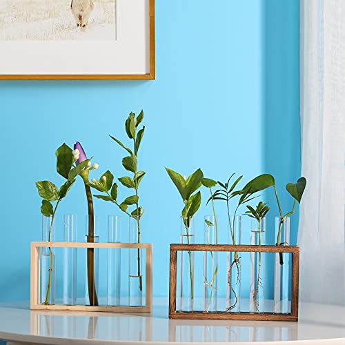 Cekpo 2 Pack Plant Propagation Station, Test Tube Planter, Wall Hanging Glass Planter, Plant Terrarium Test Tube With Wood Stand For Propagating Hydroponic Plants Holder Garden Desk Home Wall Decor #TOP6