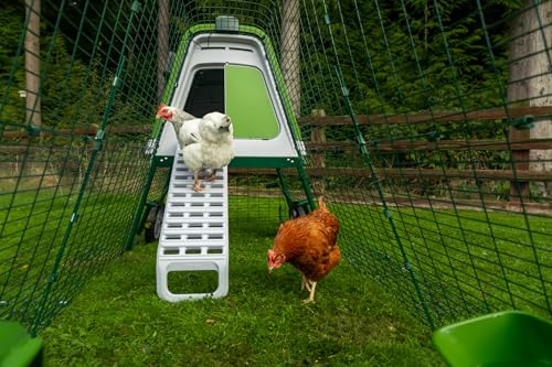 Image of Omlet Raised Chicken Coop Go Up | Easy to Clean and Maintain Plastic Chicken Tractor | Cool in Summer, Warm in Winter Weatherproof Hen House | Green Coop with 6ft Run