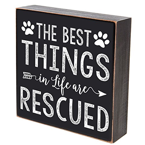 LifeSong Milestones The Best Things in Life are Rescued Pets Gifts for Dog cat Pet Lover Gift Box Birthday Gifts for Pets 6x6 (The Best Things are Rescued)
