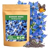 LUOJIBIE Borage Seeds, 2,000+ Blue Borage Seeds for Planting Outdoor & Indoor, Flower Seeds Bulk for Garden, Non-GMO & Heirloom, Easy to Grow